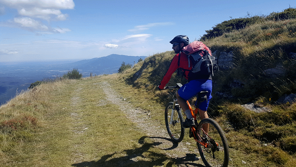 Animation VTT